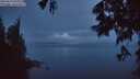 ./images/koeye/fitz-hugh/20250617/fitz-hugh20250617_044009M.jpg