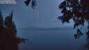 ./images/koeye/fitz-hugh/20250617/fitz-hugh20250617_044507M.jpg