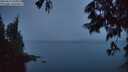 ./images/koeye/fitz-hugh/20250617/fitz-hugh20250617_045009M.jpg
