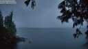 ./images/koeye/fitz-hugh/20250617/fitz-hugh20250617_045508M.jpg