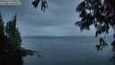 ./images/koeye/fitz-hugh/20250617/fitz-hugh20250617_050009M.jpg
