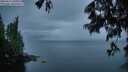 ./images/koeye/fitz-hugh/20250617/fitz-hugh20250617_050508M.jpg