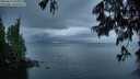 ./images/koeye/fitz-hugh/20250617/fitz-hugh20250617_051009M.jpg