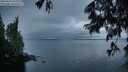./images/koeye/fitz-hugh/20250617/fitz-hugh20250617_051509M.jpg