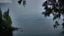 ./images/koeye/fitz-hugh/20250617/fitz-hugh20250617_052009M.jpg