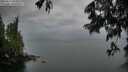 ./images/koeye/fitz-hugh/20250617/fitz-hugh20250617_053509M.jpg