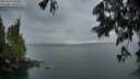 ./images/koeye/fitz-hugh/20250617/fitz-hugh20250617_060012M.jpg