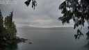 ./images/koeye/fitz-hugh/20250617/fitz-hugh20250617_060511M.jpg