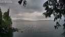 ./images/koeye/fitz-hugh/20250617/fitz-hugh20250617_061010M.jpg