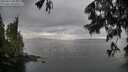 ./images/koeye/fitz-hugh/20250617/fitz-hugh20250617_062012M.jpg