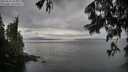./images/koeye/fitz-hugh/20250617/fitz-hugh20250617_063010M.jpg