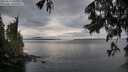 ./images/koeye/fitz-hugh/20250617/fitz-hugh20250617_063510M.jpg