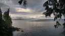 ./images/koeye/fitz-hugh/20250617/fitz-hugh20250617_064011M.jpg