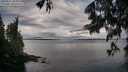 ./images/koeye/fitz-hugh/20250617/fitz-hugh20250617_064510M.jpg