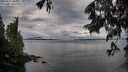 ./images/koeye/fitz-hugh/20250617/fitz-hugh20250617_065011M.jpg