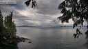 ./images/koeye/fitz-hugh/20250617/fitz-hugh20250617_065510M.jpg