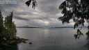./images/koeye/fitz-hugh/20250617/fitz-hugh20250617_070009M.jpg