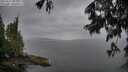 ./images/koeye/fitz-hugh/20250617/fitz-hugh20250617_085511M.jpg