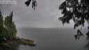 ./images/koeye/fitz-hugh/20250617/fitz-hugh20250617_090011M.jpg