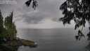 ./images/koeye/fitz-hugh/20250617/fitz-hugh20250617_090509M.jpg
