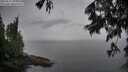 ./images/koeye/fitz-hugh/20250617/fitz-hugh20250617_091010M.jpg