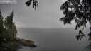 ./images/koeye/fitz-hugh/20250617/fitz-hugh20250617_091511M.jpg