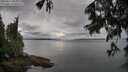 ./images/koeye/fitz-hugh/20250617/fitz-hugh20250617_093510M.jpg