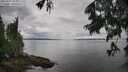 ./images/koeye/fitz-hugh/20250617/fitz-hugh20250617_094010M.jpg