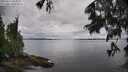 ./images/koeye/fitz-hugh/20250617/fitz-hugh20250617_094510M.jpg