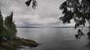 ./images/koeye/fitz-hugh/20250617/fitz-hugh20250617_095011M.jpg