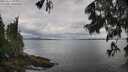 ./images/koeye/fitz-hugh/20250617/fitz-hugh20250617_095510M.jpg