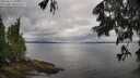 ./images/koeye/fitz-hugh/20250617/fitz-hugh20250617_100012M.jpg