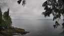 ./images/koeye/fitz-hugh/20250617/fitz-hugh20250617_101511M.jpg