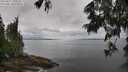 ./images/koeye/fitz-hugh/20250617/fitz-hugh20250617_102510M.jpg