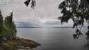 ./images/koeye/fitz-hugh/20250617/fitz-hugh20250617_103011M.jpg