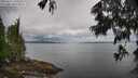 ./images/koeye/fitz-hugh/20250617/fitz-hugh20250617_103510M.jpg