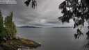 ./images/koeye/fitz-hugh/20250617/fitz-hugh20250617_104010M.jpg
