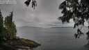 ./images/koeye/fitz-hugh/20250617/fitz-hugh20250617_104511M.jpg