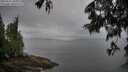 ./images/koeye/fitz-hugh/20250617/fitz-hugh20250617_105008M.jpg