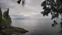./images/koeye/fitz-hugh/20250617/fitz-hugh20250617_105509M.jpg