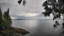 ./images/koeye/fitz-hugh/20250617/fitz-hugh20250617_110012M.jpg