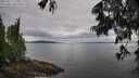 ./images/koeye/fitz-hugh/20250617/fitz-hugh20250617_110511M.jpg