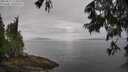 ./images/koeye/fitz-hugh/20250617/fitz-hugh20250617_113012M.jpg