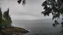 ./images/koeye/fitz-hugh/20250617/fitz-hugh20250617_113510M.jpg