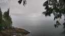 ./images/koeye/fitz-hugh/20250617/fitz-hugh20250617_114010M.jpg