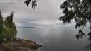 ./images/koeye/fitz-hugh/20250617/fitz-hugh20250617_114511M.jpg