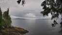 ./images/koeye/fitz-hugh/20250617/fitz-hugh20250617_115009M.jpg