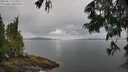 ./images/koeye/fitz-hugh/20250617/fitz-hugh20250617_115509M.jpg