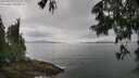 ./images/koeye/fitz-hugh/20250617/fitz-hugh20250617_120510M.jpg
