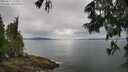./images/koeye/fitz-hugh/20250617/fitz-hugh20250617_121011M.jpg